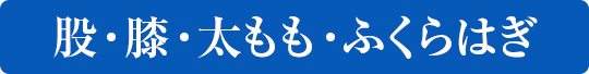 股・膝・太もも・ふくらはぎ