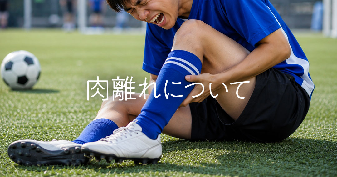 肉離れについて